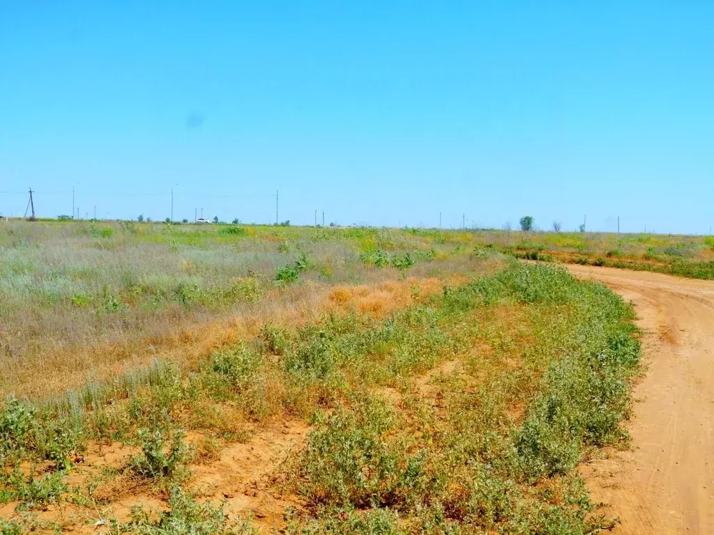 Участок в Волгоградская область, Средняя Ахтуба рп ул. Кузнецкая-1 ... - Фото 2