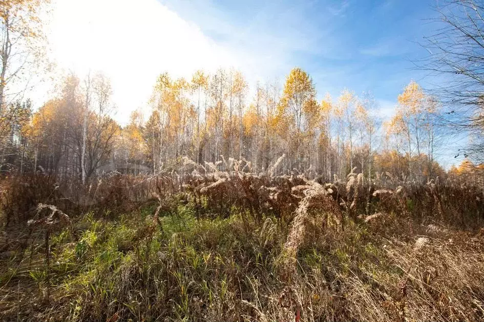 Участок 12,3 сот. (СНТ, ДНП) - Фото 1
