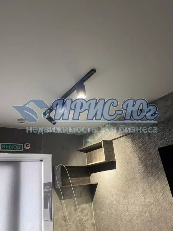 Помещение свободного назначения в Краснодарский край, Краснодар ул. ... - Фото 1