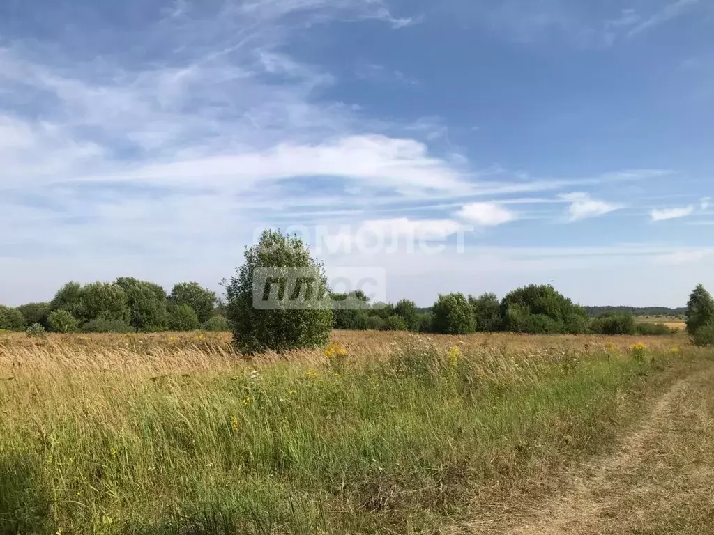 Участок в Тульская область, Заокский район, Демидовское муниципальное ... - Фото 0