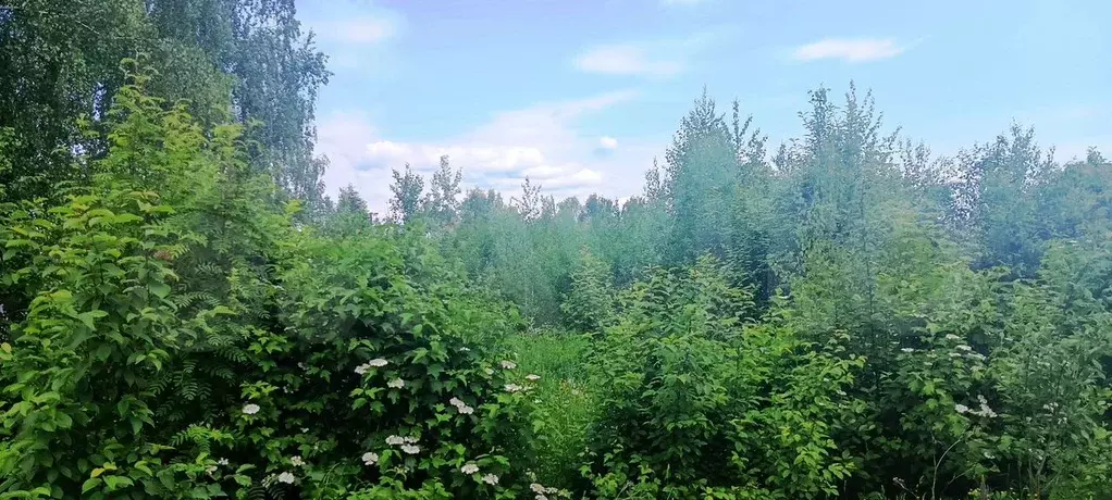 Участок 8,6 сот. (ИЖС) - Фото 0