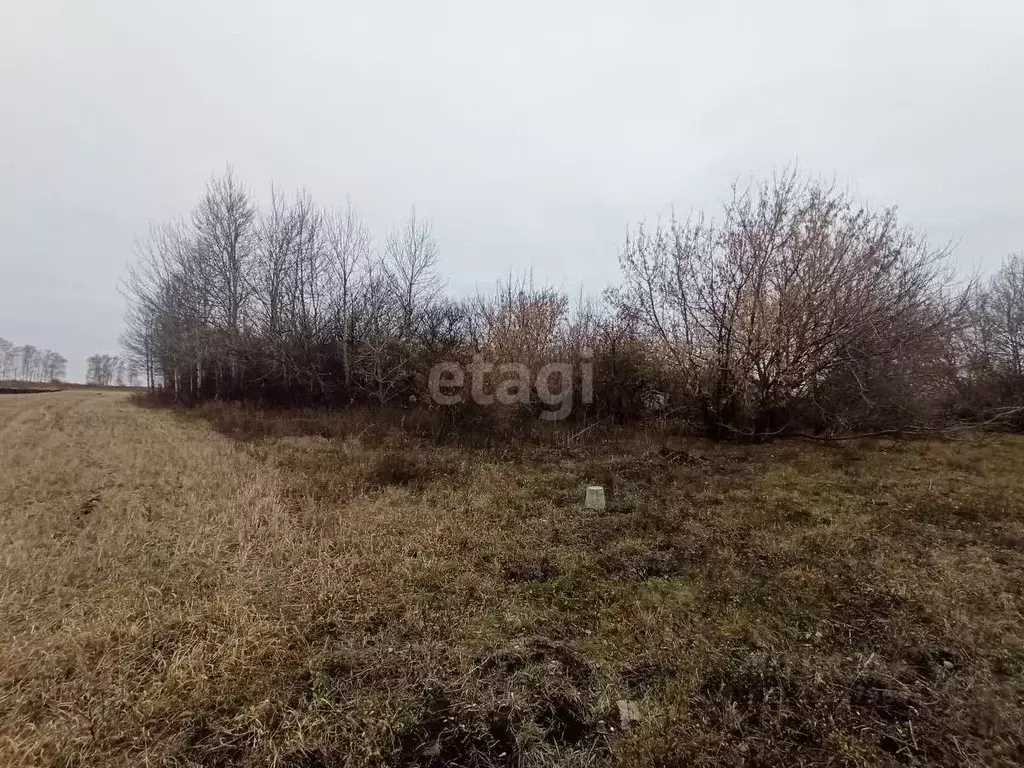 Дом в Белгородская область, Губкинский городской округ, с. Панки ул. ... - Фото 0