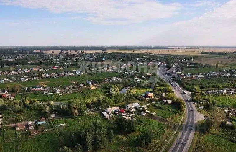 Участок в Новосибирская область, Новосибирский район, Ярковский ... - Фото 0