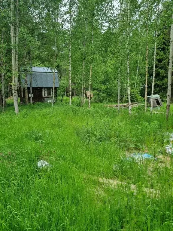 Участок в Московская область, Химки городской округ, д. Брехово  (7.4 ... - Фото 0
