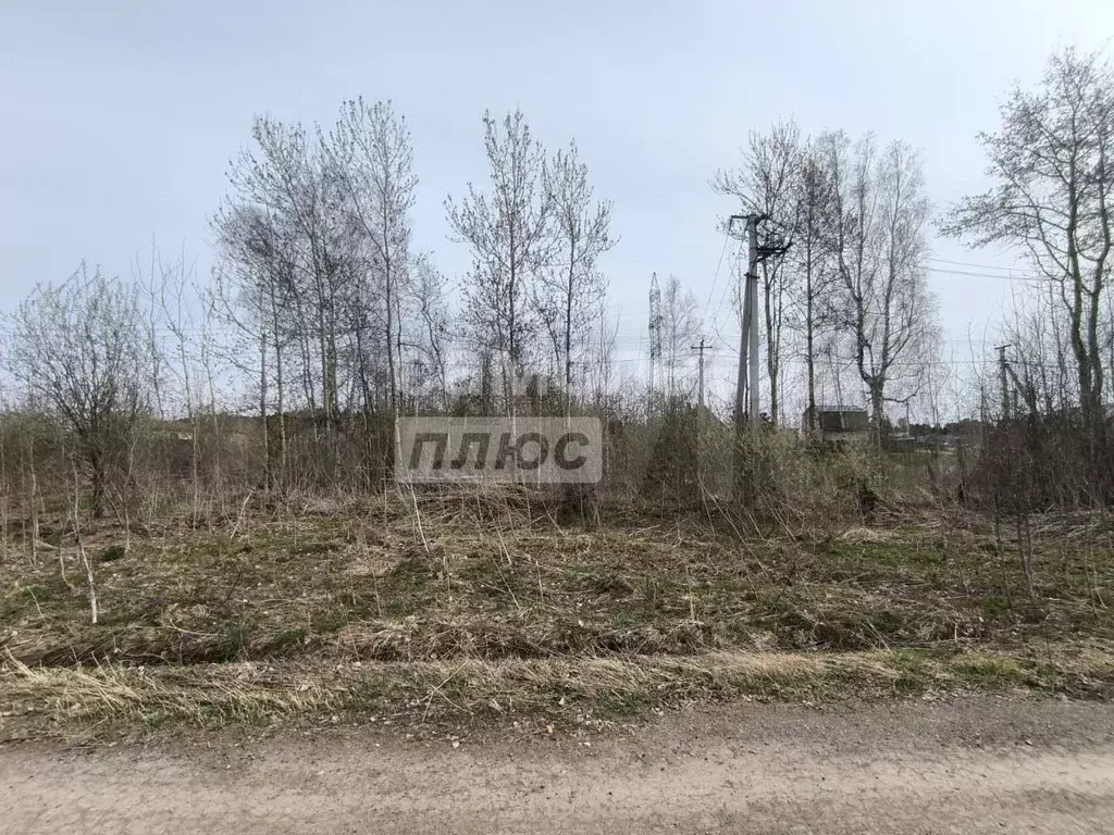 Участок 9,6 сот. (ИЖС) - Фото 0