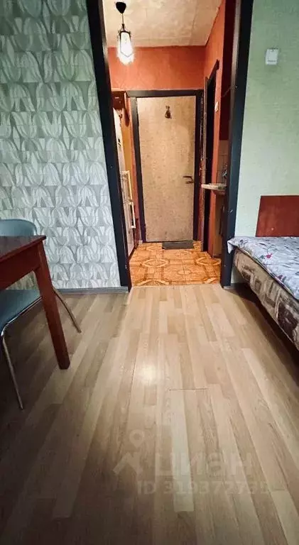 Студия Архангельская область, Архангельск Садовая ул., 52к2 (14.0 м) - Фото 1