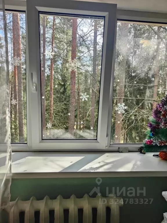 Студия Ленинградская область, Выборгский район, Рощино городской ... - Фото 2