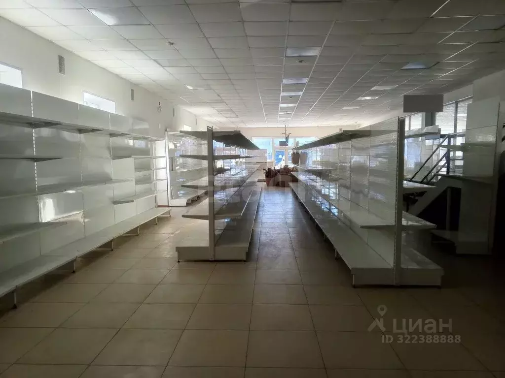 Торговая площадь в Ямало-Ненецкий АО, Новый Уренгой Таежная ул., 224 ... - Фото 1