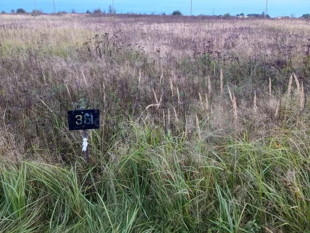 Участок в Калининградская область, Зеленоградский муниципальный округ, ... - Фото 2