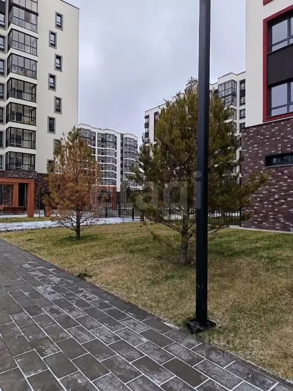 Торговая площадь в Пермский край, д. Кондратово ул. Парфенова, 5 (94 ... - Фото 1