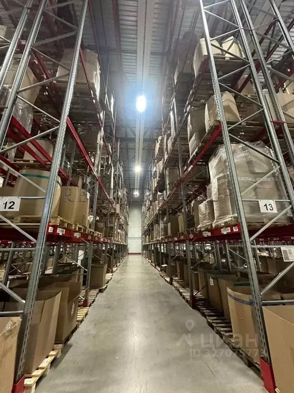 Склад в Московская область, Подольск городской округ, д. Коледино ул. ... - Фото 1