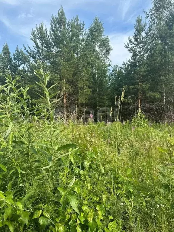 Участок в Свердловская область, Талица Южный-3 мкр,  (15.0 сот.) - Фото 1