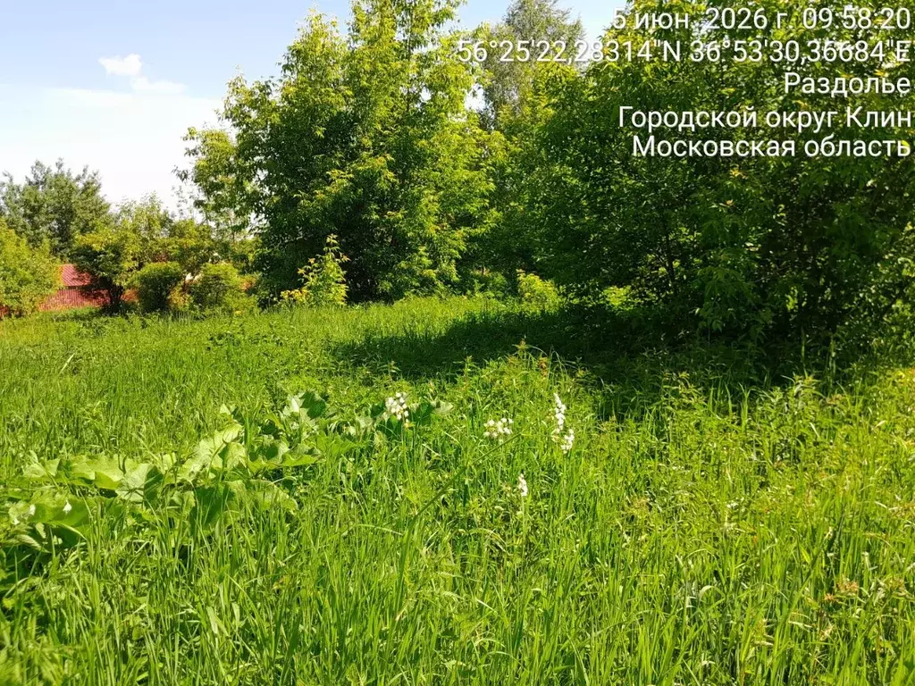 Участок в Московская область, Клин городской округ, пос. Раздолье  ... - Фото 1