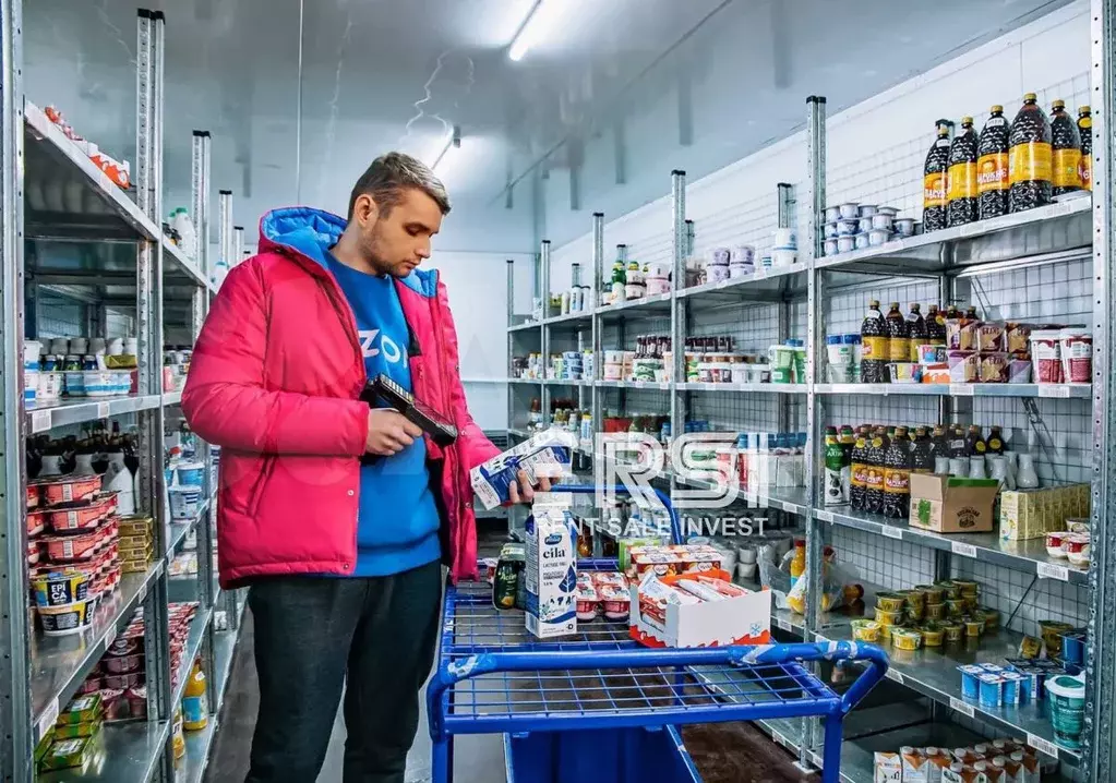 Купить ПСН Озон Фреш окупаемость 9 лет продукты - Фото 0