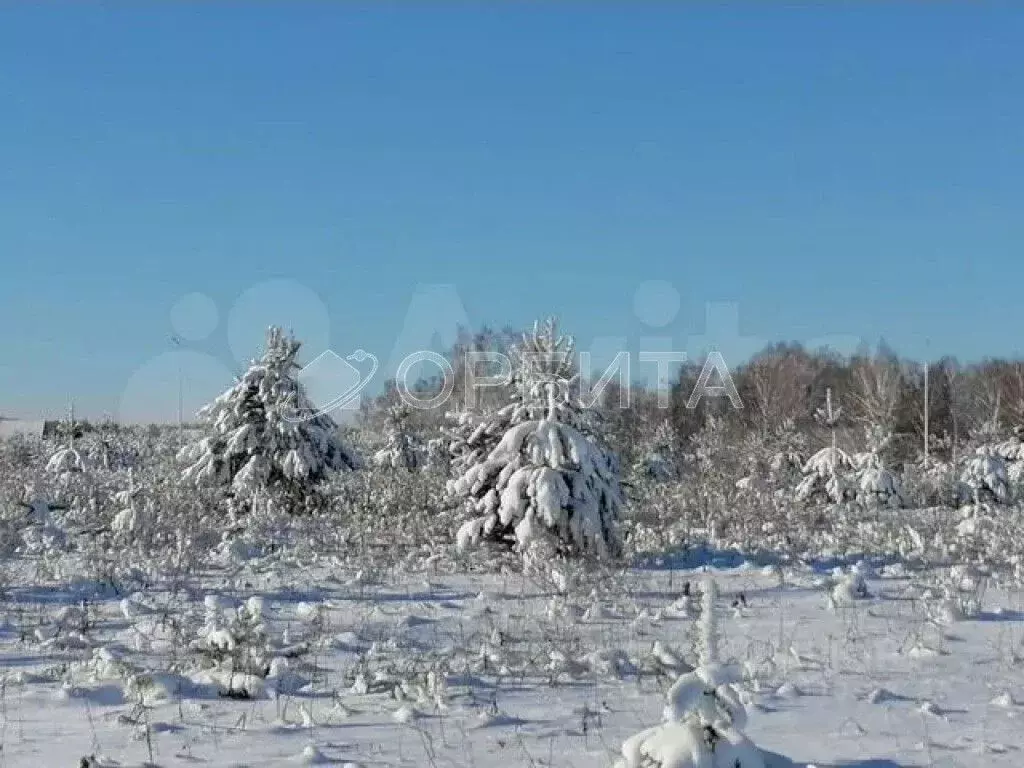 Участок в Тюменская область, Нижнетавдинский район, Ромашка СНТ ул. ... - Фото 0