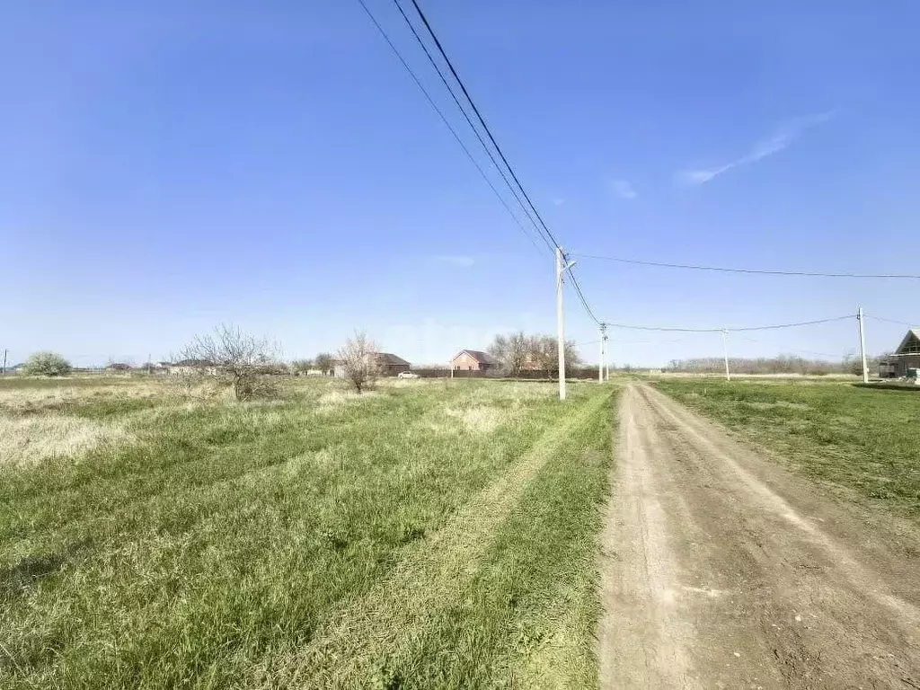 Участок в Московская область, Пушкинский городской округ, д. Петушки  ... - Фото 2