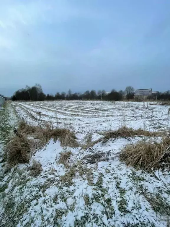 Участок в Московская область, Чехов муниципальный округ, с. Стремилово ... - Фото 2