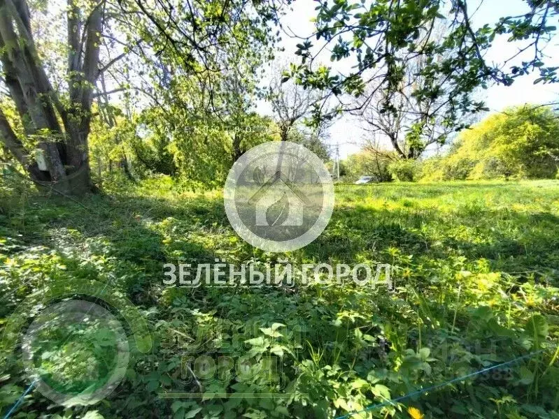 Участок в Калининградская область, Пионерский пос. Рыбное,  (8.0 сот.) - Фото 1