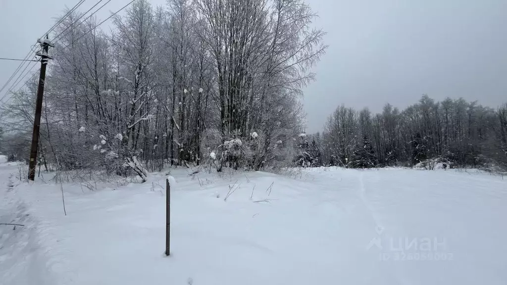 Участок в Ленинградская область, Киришский район, Будогощское ... - Фото 1