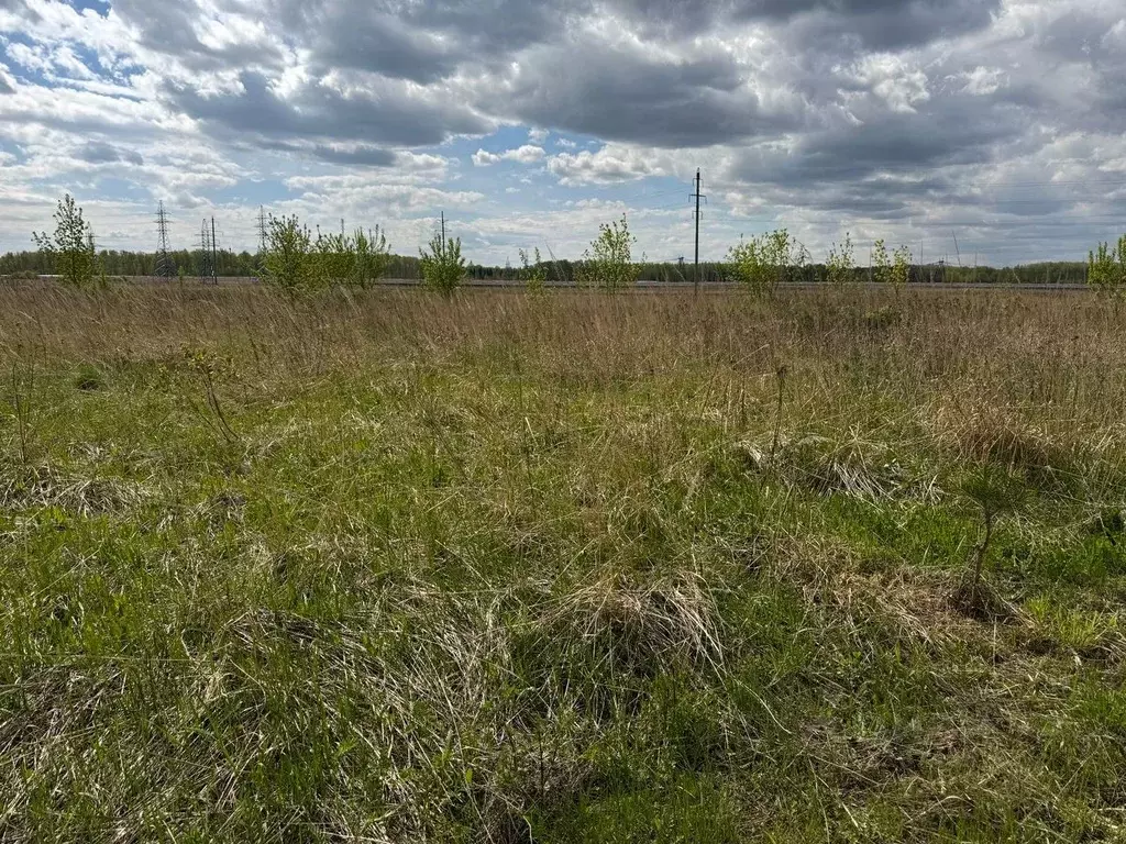 Участок в Московская область, Богородский городской округ, д. ... - Фото 1