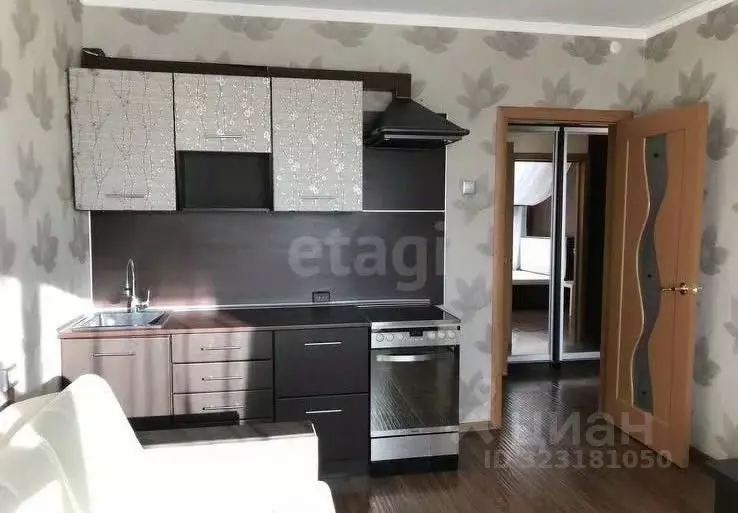 Студия Алтай, Майминский район, с. Майма ул. Березовая роща (35.0 м) - Фото 1