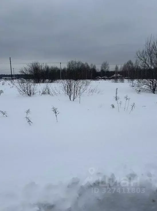 Участок в Московская область, Чехов муниципальный округ, д. Сенино ул. ... - Фото 1