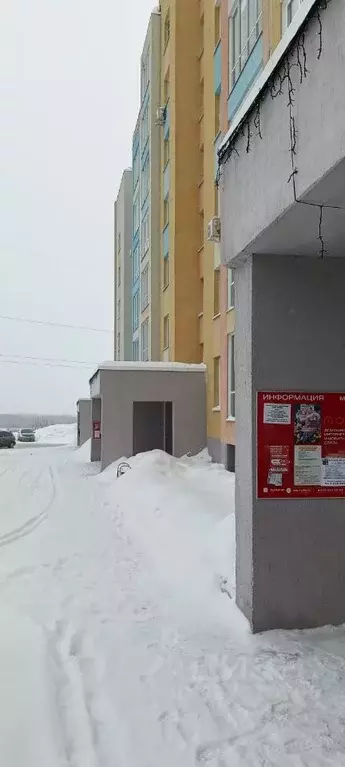 Студия Новосибирская область, Новосибирск Приморская ул., 10/4 (25.6 ... - Фото 1