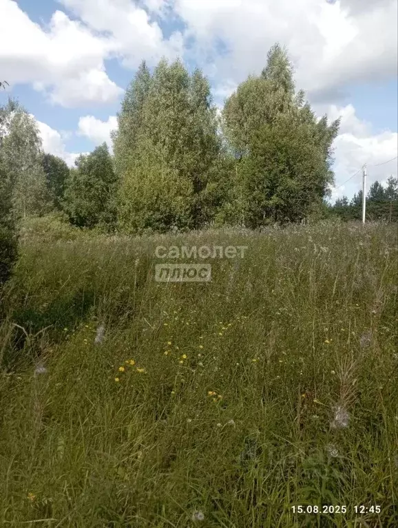 Участок в Ивановская область, Ивановский район, Коляновское с/пос, д. ... - Фото 2