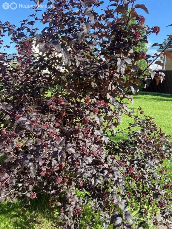 Дом в посёлок Элита, Видная улица, 17/2 (98 м) - Фото 1