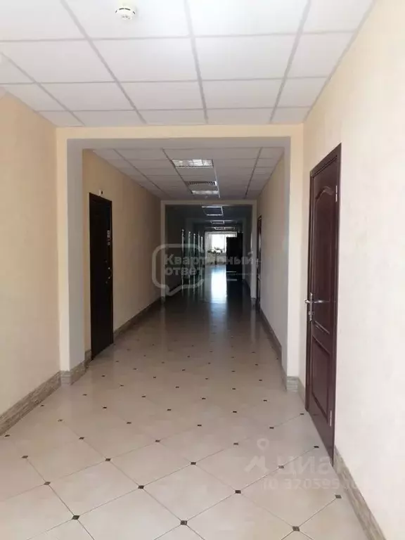 Офис в Владимирская область, Владимир Мещерская ул., 4 (17 м) - Фото 1
