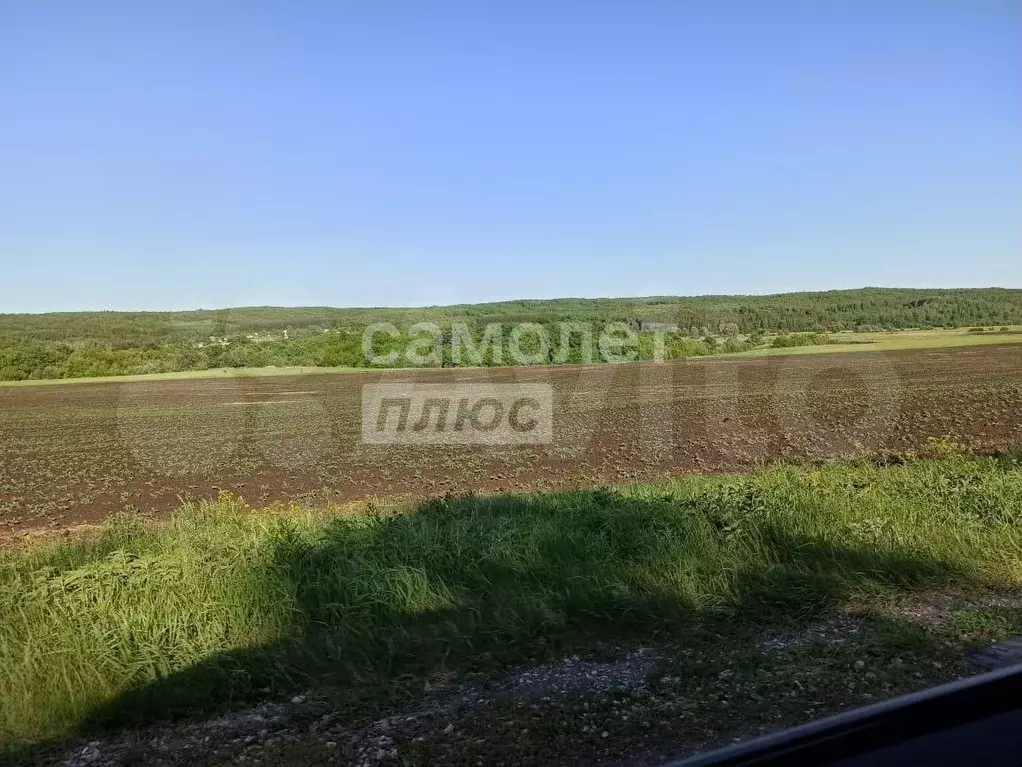 Участок 6,6 сот. (СНТ, ДНП) - Фото 1