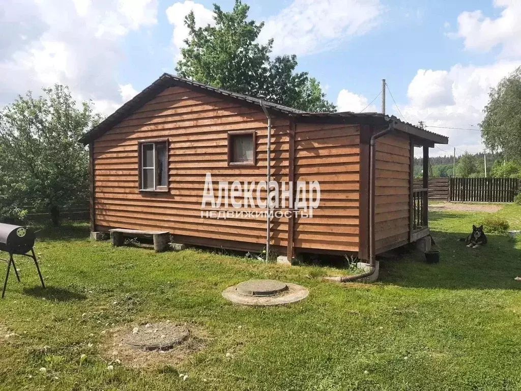 Участок в Ленинградская область, Выборгский район, Каменногорское ... - Фото 1