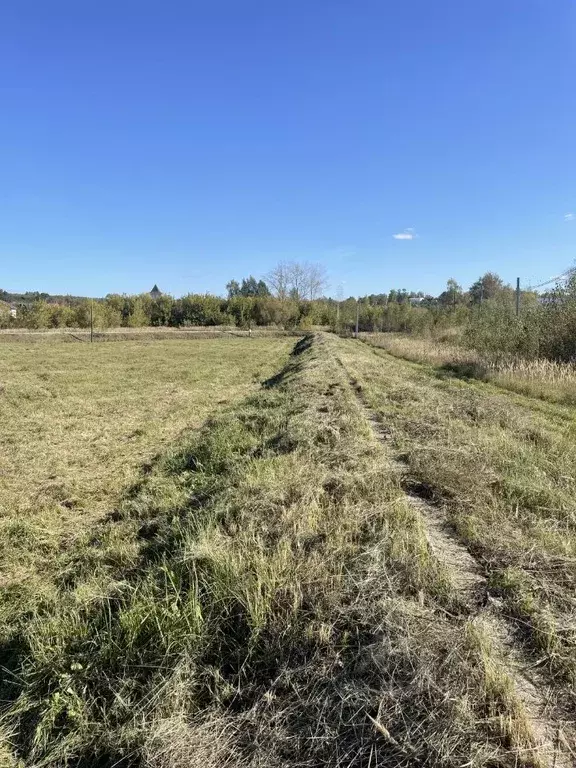 Участок в Нижегородская область, Богородский муниципальный округ, с. ... - Фото 0