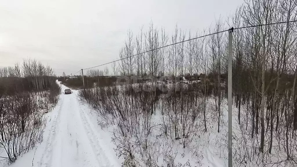 Участок в Тюменская область, Тюмень Поле Чудес садовое товарищество,  ... - Фото 0