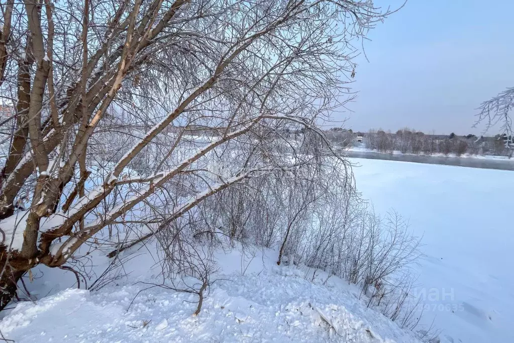 Участок в Новосибирская область, Новосибирский район, Кудряшовский дп ... - Фото 1