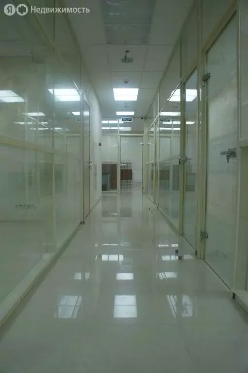 Торговая площадь (30 м) - Фото 2