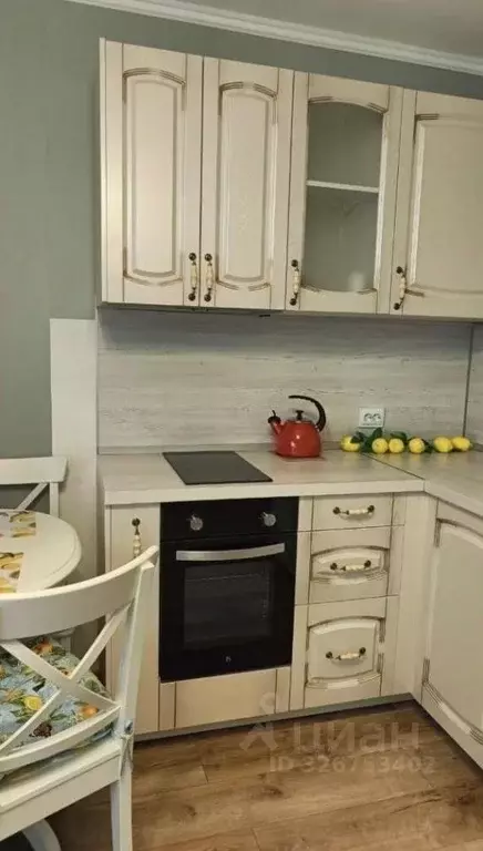 Студия Санкт-Петербург пос. Парголово, Заречная ул., 13к2 (28.0 м) - Фото 2