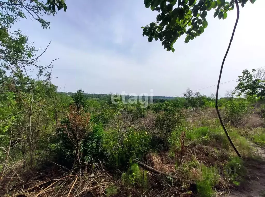 Участок в Ставропольский край, Ставрополь Калинка ДНТ,  (7.3 сот.) - Фото 0