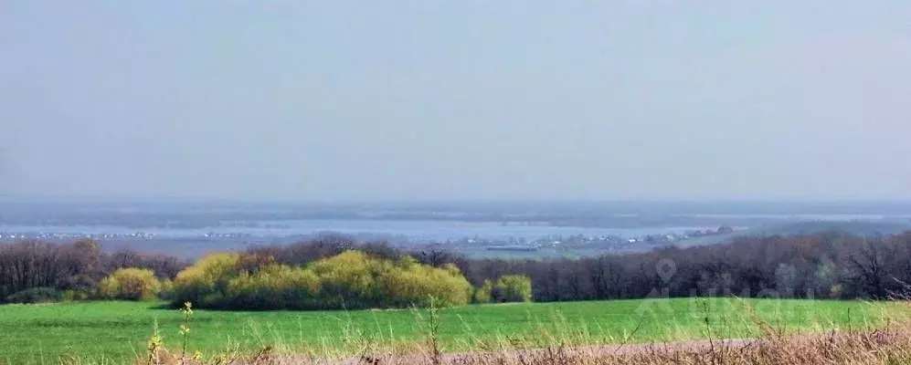 Участок в Саратовская область, д. Новая Липовка ул. Новая (15.0 сот.) - Фото 2