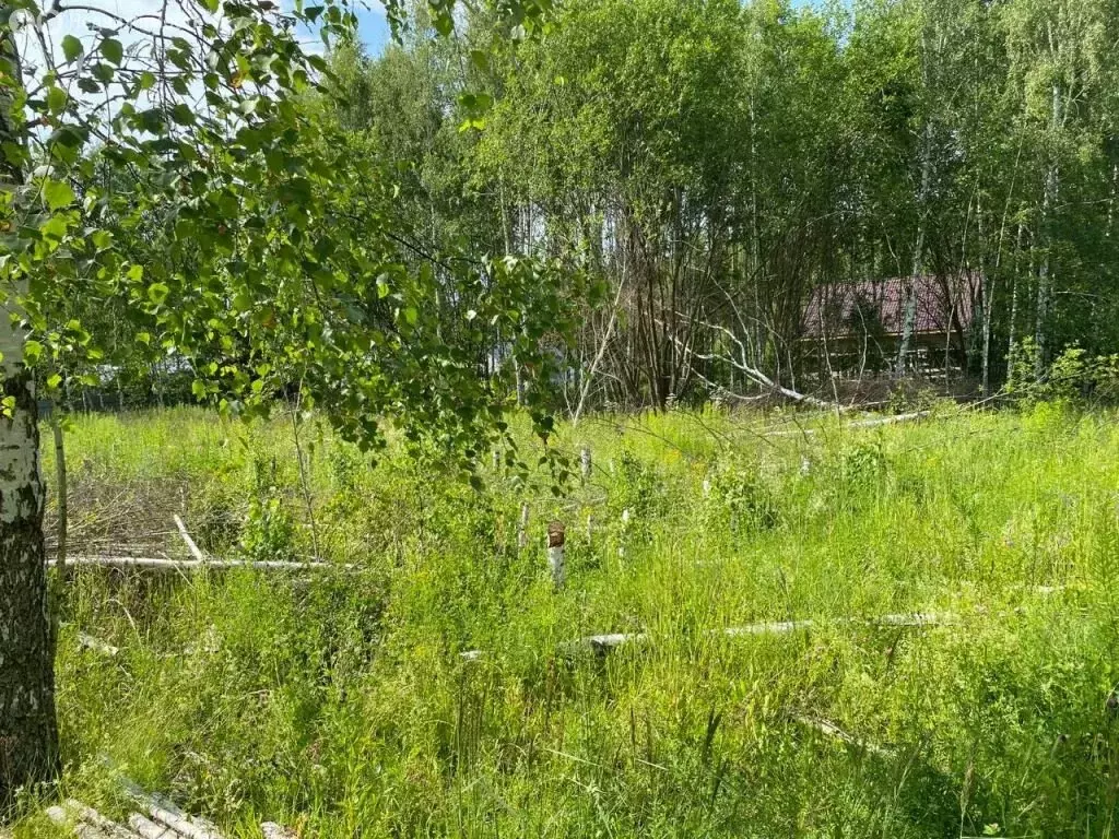 Участок в городской округ Нижний Новгород, село Елховка (10 м) - Фото 1