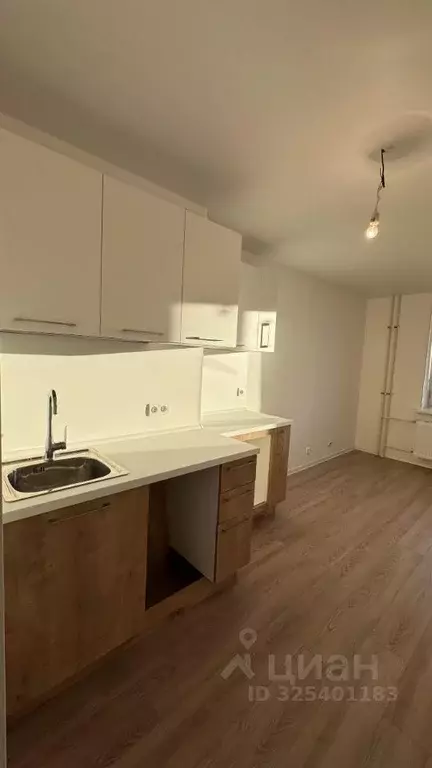 Студия Санкт-Петербург, Санкт-Петербург, Колпино ул. Севастьянова, ... - Фото 1