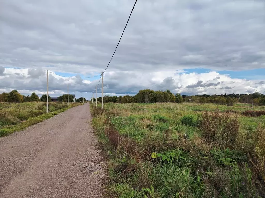 Участок в Ленинградская область, Ломоносовский район, Гостилицкое ... - Фото 2