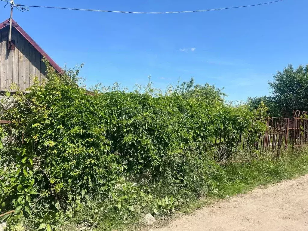 Участок в Калининградская область, Калининград 50 лет Октября СНТ, ул. ... - Фото 2