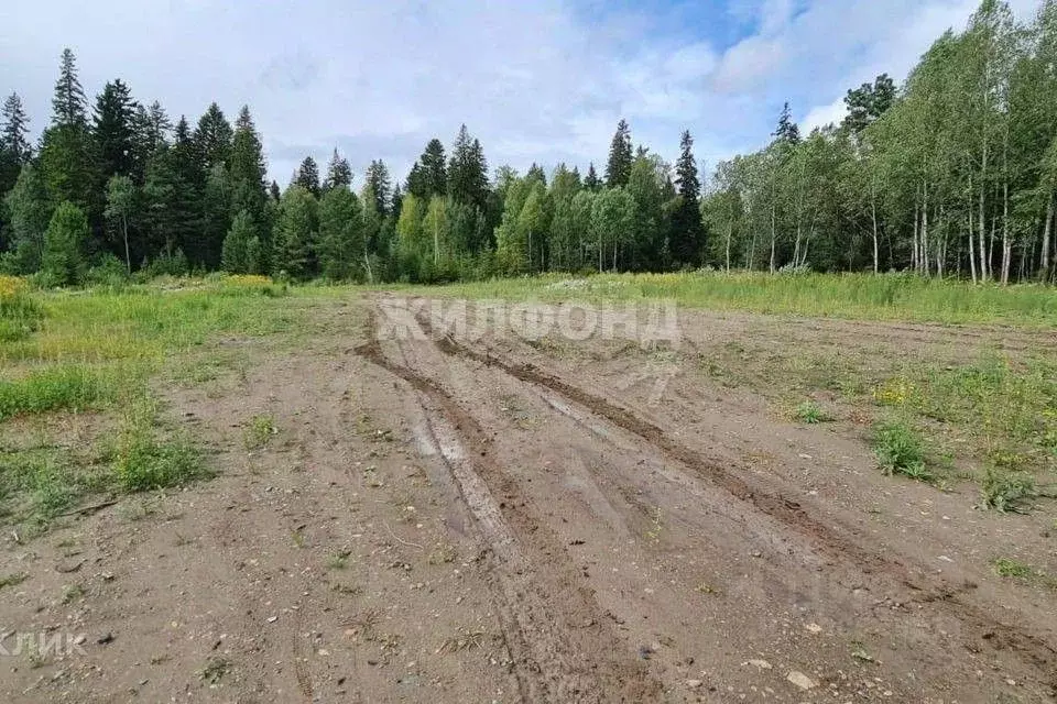 Участок в Томская область, Томский район, д. Кандинка ул. Мира (50.0 ... - Фото 1