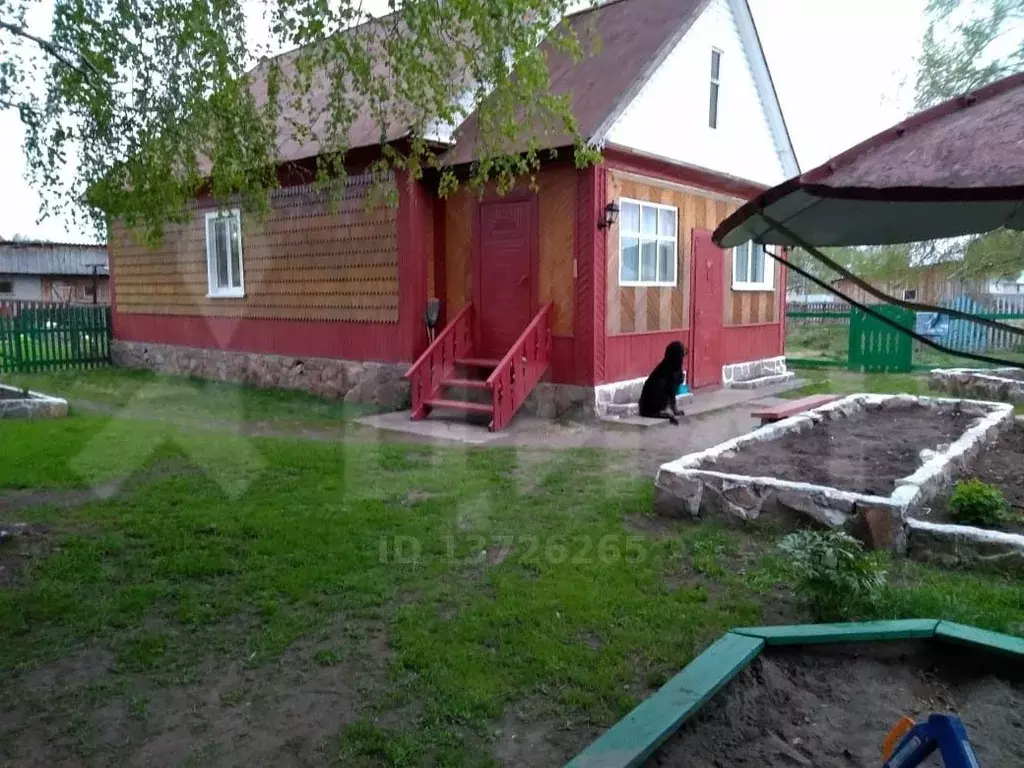 Дом в Алтайский край, Целинный район, с. Хомутино (61.5 м) - Фото 1