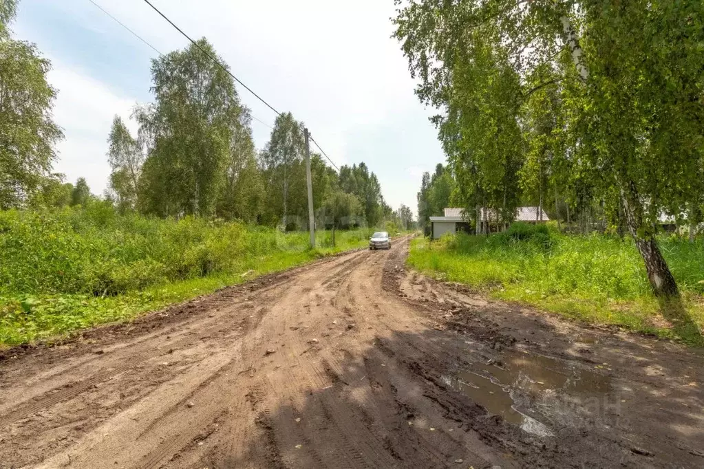 Участок в Тюменская область, Тюмень Ясень СНТ, ул. Четвертая, 298 ... - Фото 1