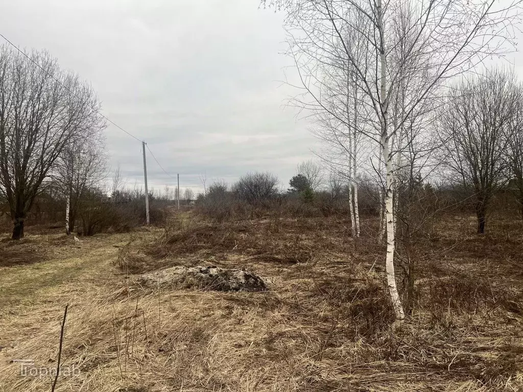 Участок в Брянская область, Брянск СО Мечта тер., ул. Виноградная (6.0 ... - Фото 2