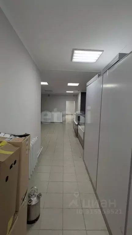Помещение свободного назначения в Костромская область, Кострома ул. ... - Фото 1