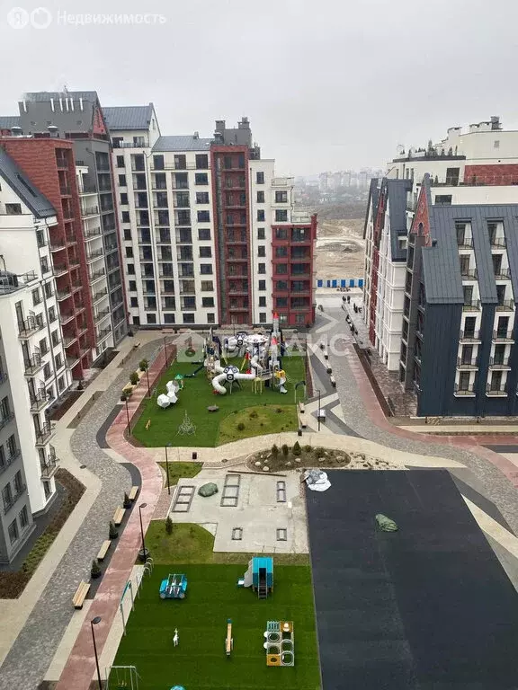 Купить Студию В Калининградской Области Недорого