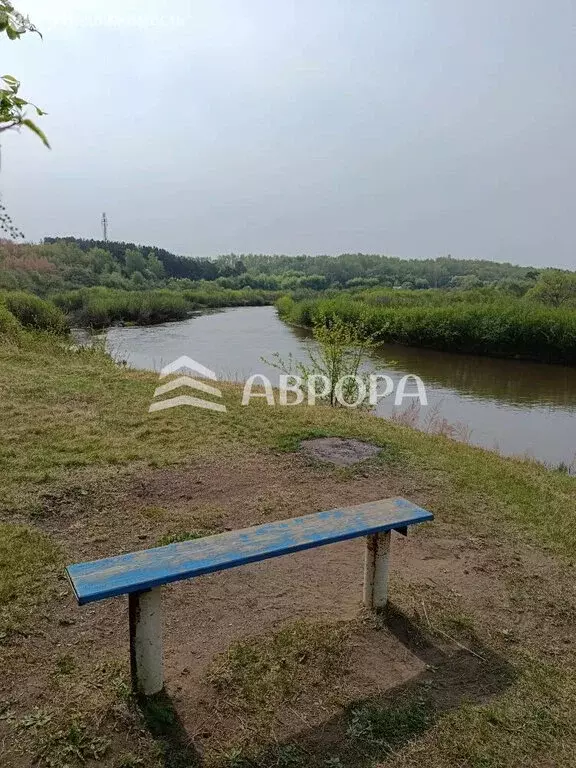 Участок в Амурская область, Ивановский муниципальный округ, село ... - Фото 1